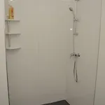 Professional בוביני