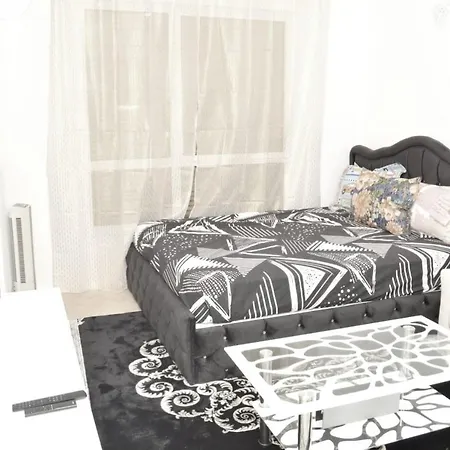 Professional Apartment