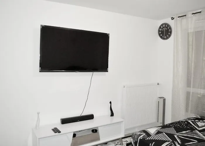 Professional Apartman *